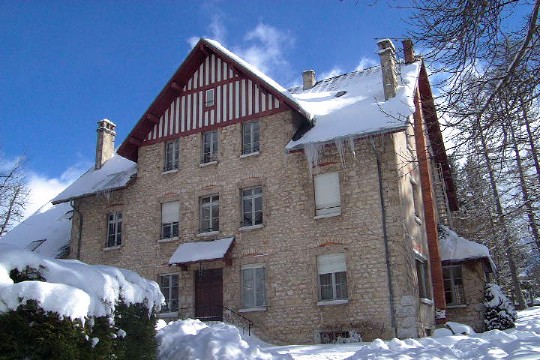 Melezes-Villard-de-lans.jpg