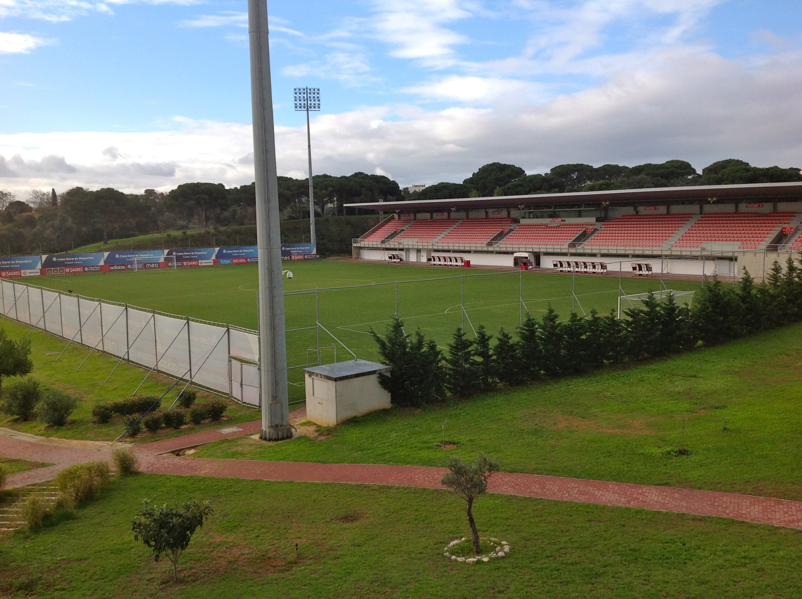 Benfica-field-7.JPG