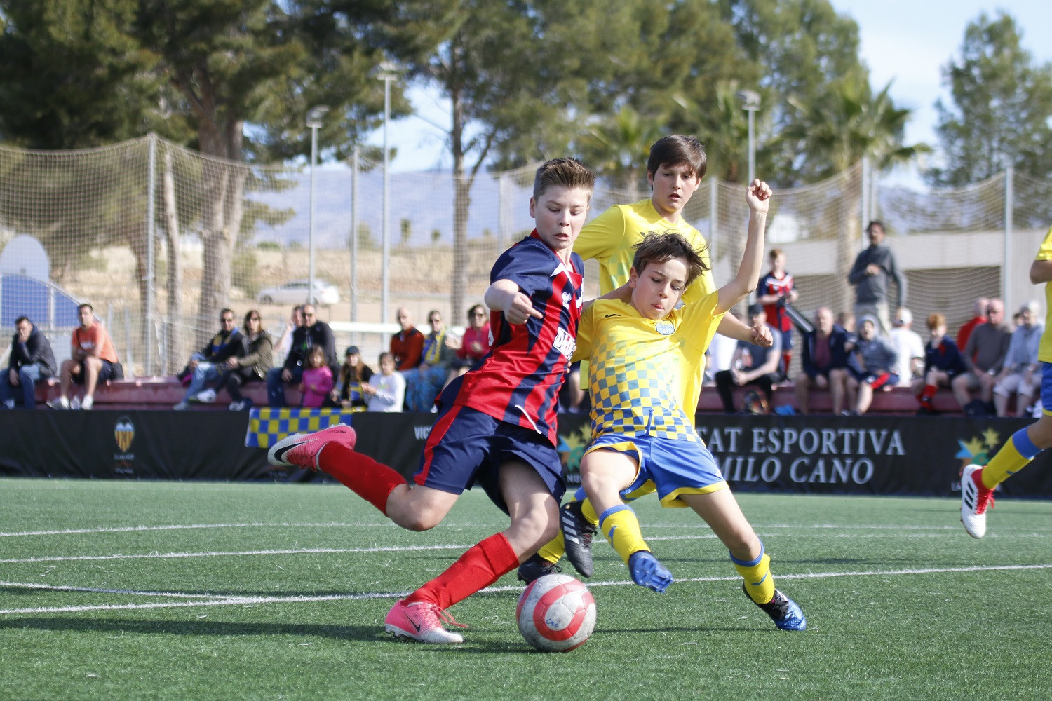 benidorm-cup-1sm.jpg