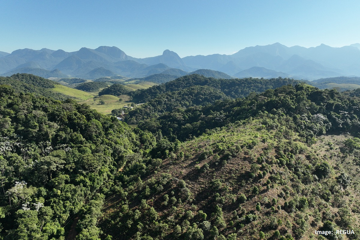 buy-an-acre_regua-image-credit-regua-(2)-1.jpg